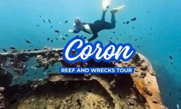 CORON REEF AND WRECKS TOUR