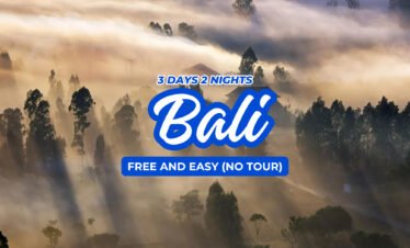 3D2N BALI PKG : 3D2N FREE AND EASY (NO TOUR)